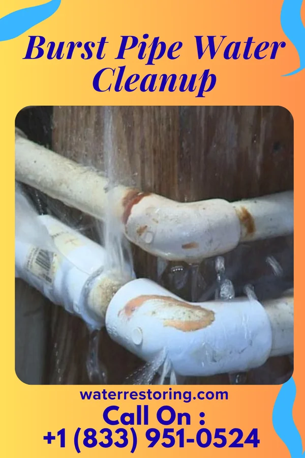 Burst Pipe Water Cleanup in Trent, SD