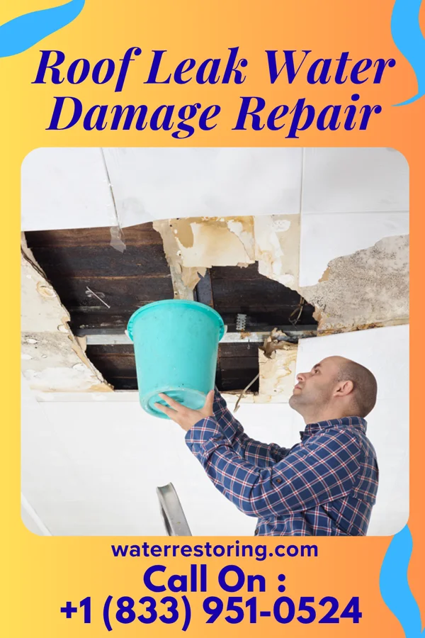 Roof Leak Water Damage Repair in Trent, SD