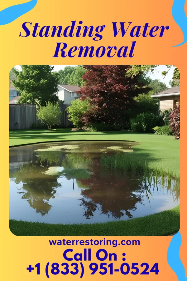 Standing Water Removal in Trent, SD